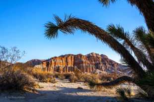 Red Rock Canyon-0157.jpg